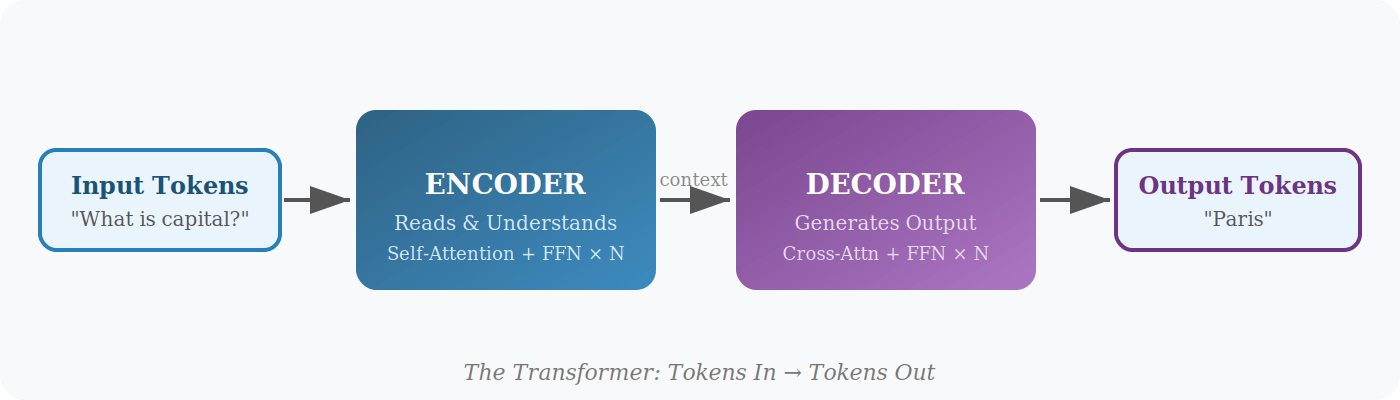 blog-image